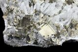 Cubic Pyrite and Quartz Crystal Association - Peru #131152-3